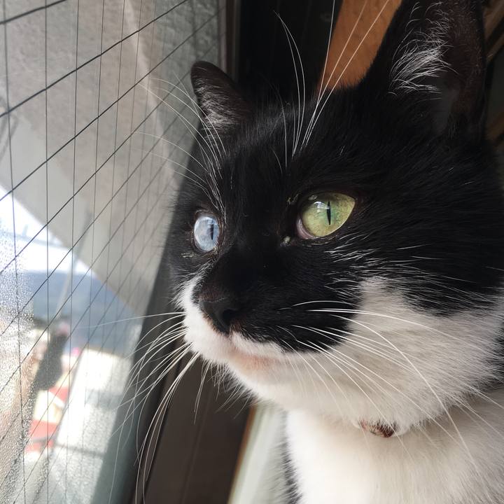 51da2553 9b03 4ac6 9af4 e735b3de7208