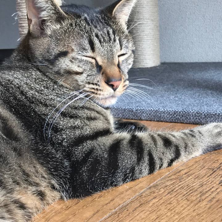 51da89b8 6533 4ac8 805d 6b1b31bf882b