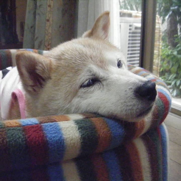 51dac456 3c64 43cc 91b2 a68543d507f7