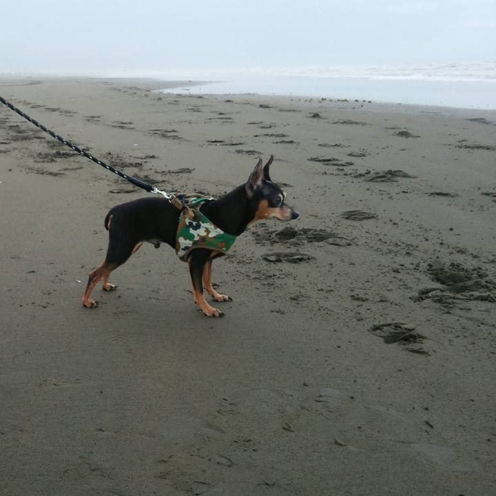 51daca76 7c95 4bab 8c7f 9a2b740b3c24