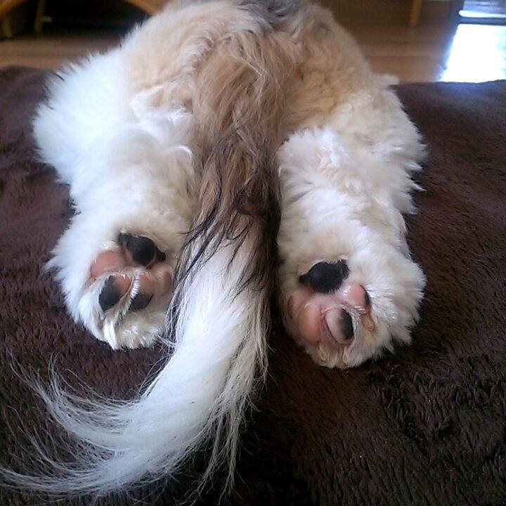 51dae060 661a 4341 a2f9 ad871e3cb5fb