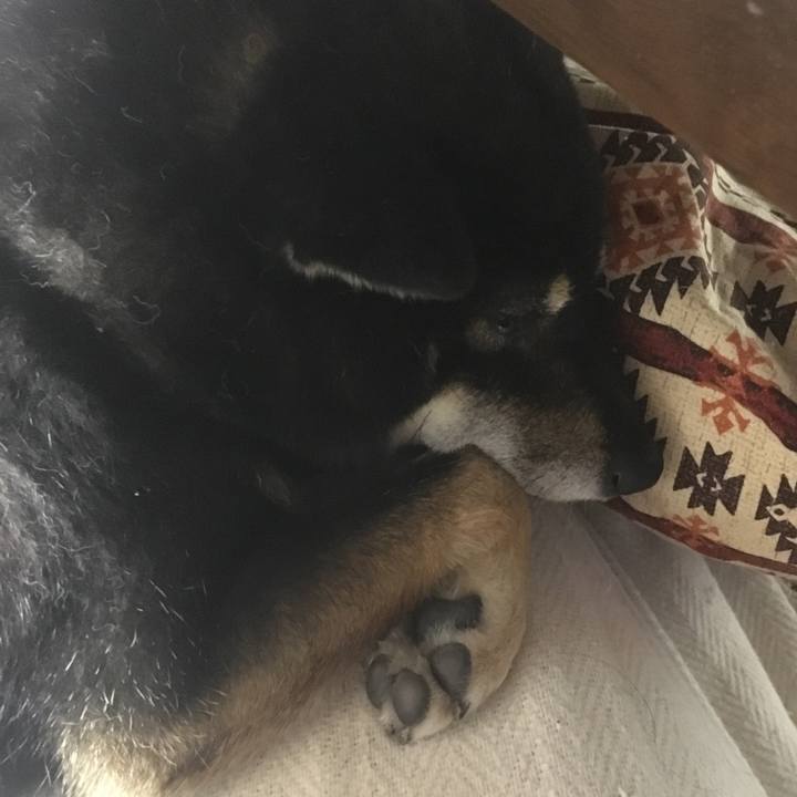 51dbdb68 9132 45f1 a2b0 cd31df925873