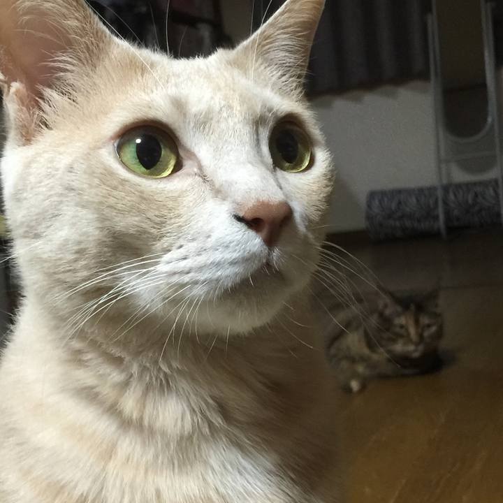 51dc0773 03ea 4fc2 bc58 6e61fe4871a3