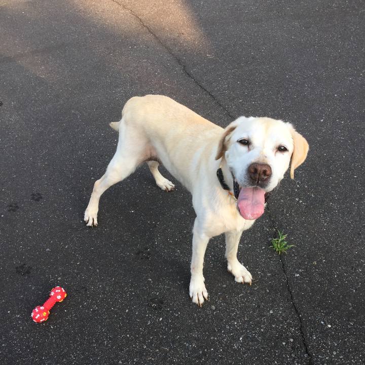 51dc5631 6d36 41d8 9b55 3a99375ba817