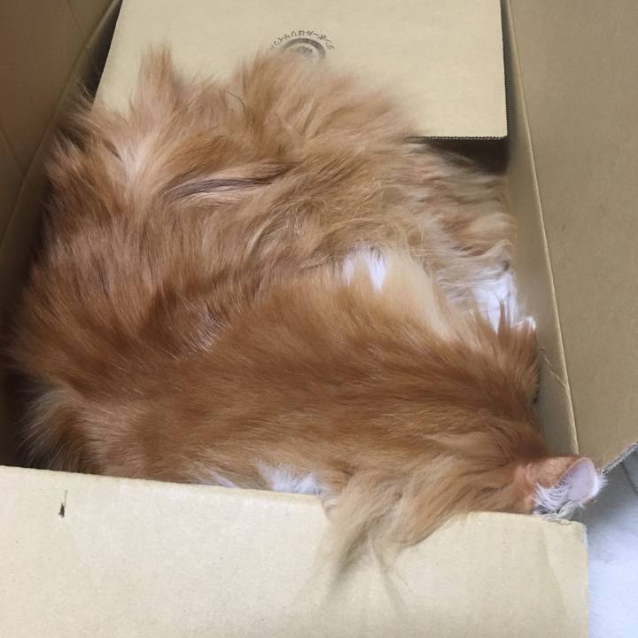 51dcebbd 17ca 4283 ae5d 649c3c81aaa8