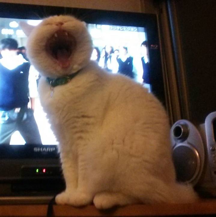 51dd18cc b9f1 4e9c a720 5e18229c46cd