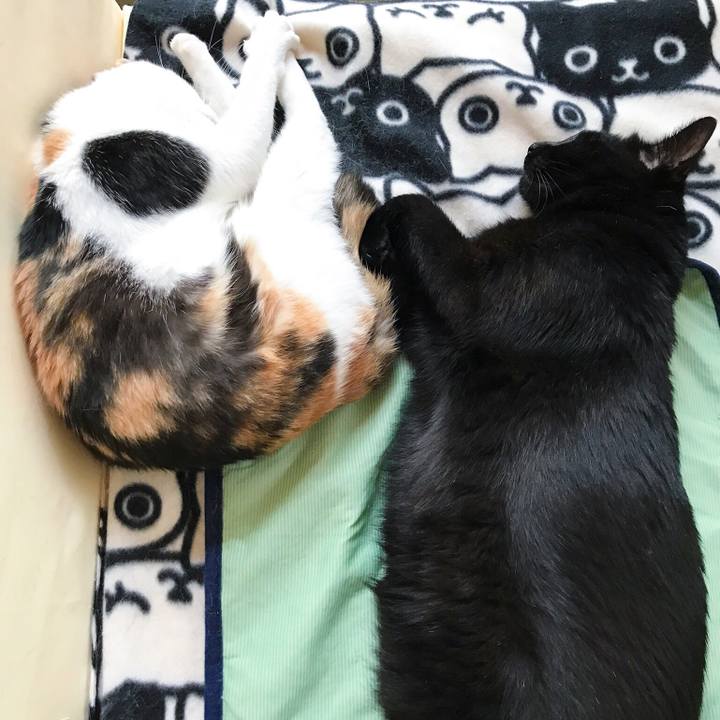 51dd347e 1ccb 457e 8521 6f9e26217373