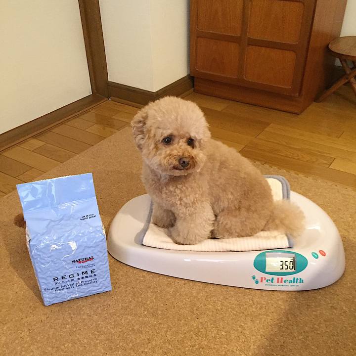 51ddb082 1928 4709 bc56 a1ec21ddeebd