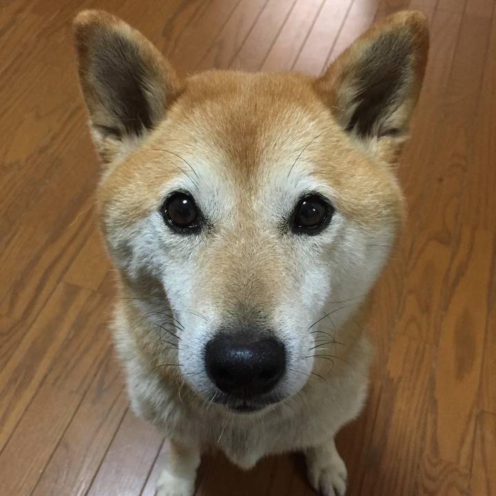 51de1ac9 d18f 40fa b66f 9b7372dfc436