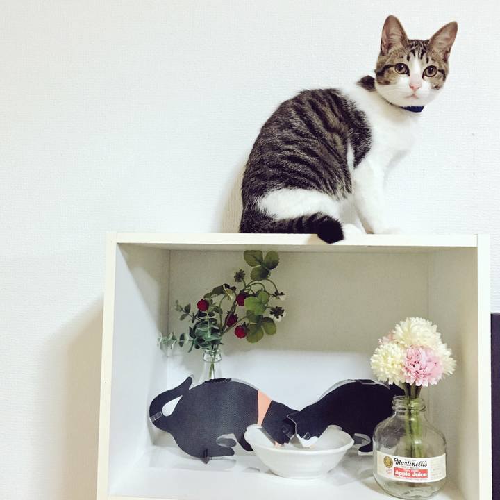 51deb2d5 81f1 4d47 9ac9 5cf9fae9af81