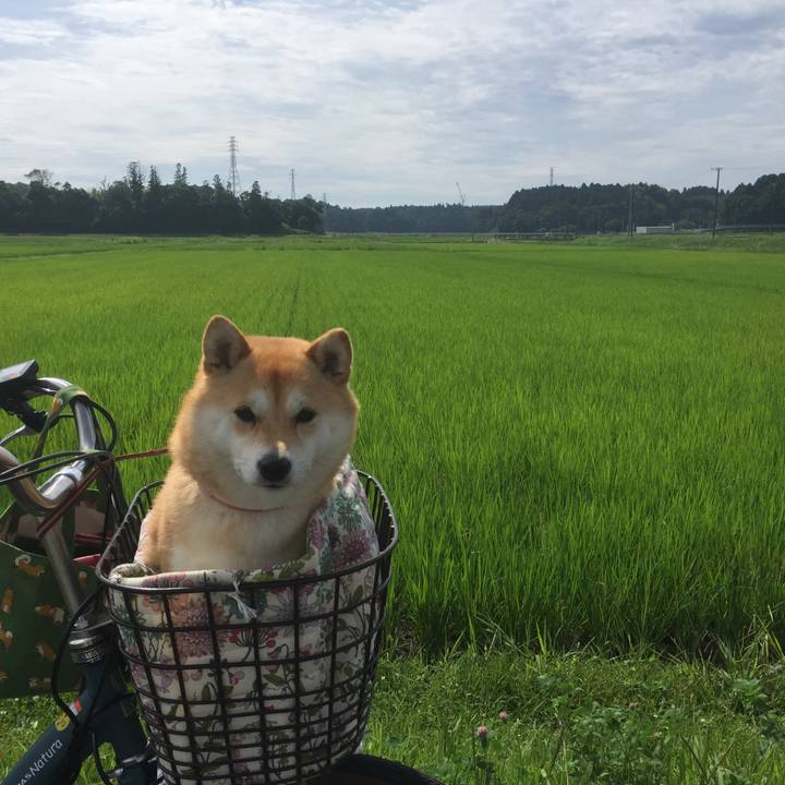 51df13f0 01a5 4c4e a98b 930e880f8229