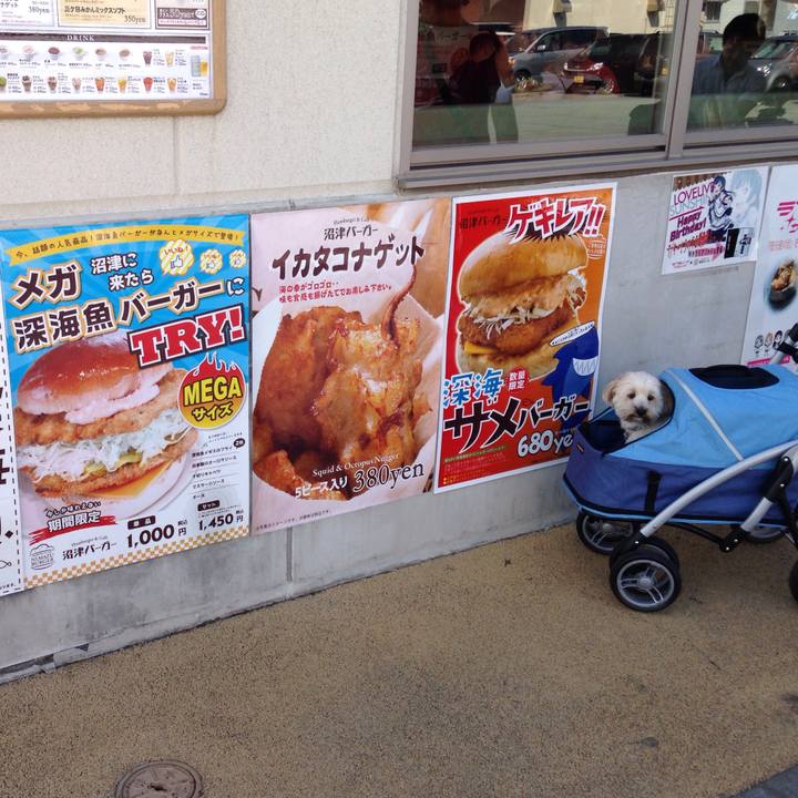 51df4e44 e182 4b31 a048 c27978b605b2