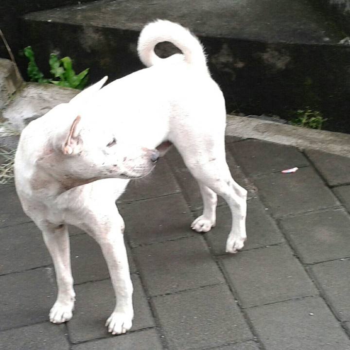 51df9aea 5417 45ba 8930 ee09e49a9ccc