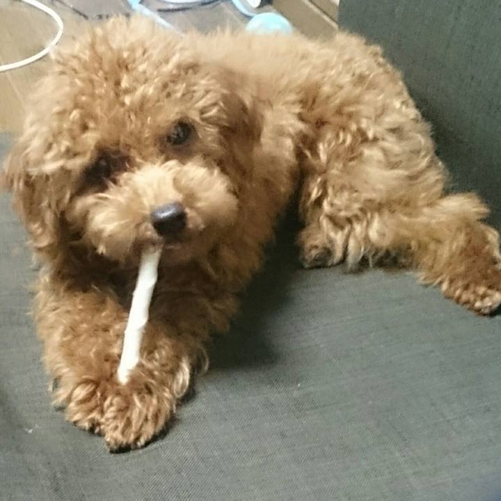 51dfb711 4ad5 4216 a58c 62b13fbfe6da