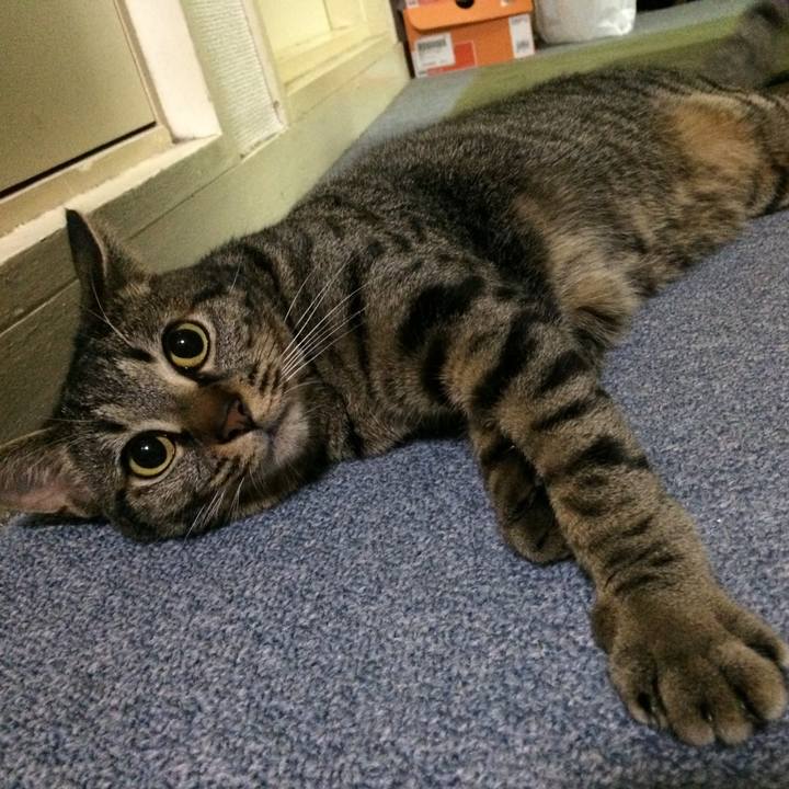 51e0123d f01f 4bb0 a7e2 43c31e2e4313