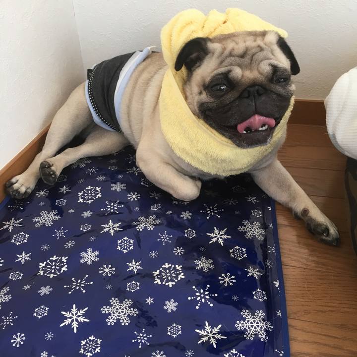 51e16daf ddf6 406e 8a86 2d78859a1da6