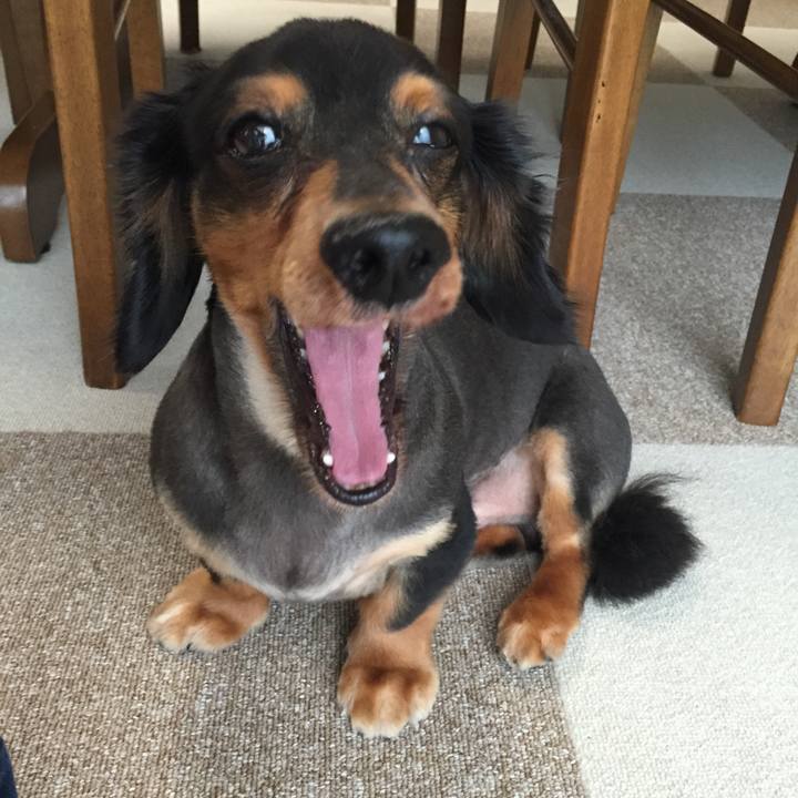 51e1bb5d 3a4d 4fa8 ac72 5177fa545313