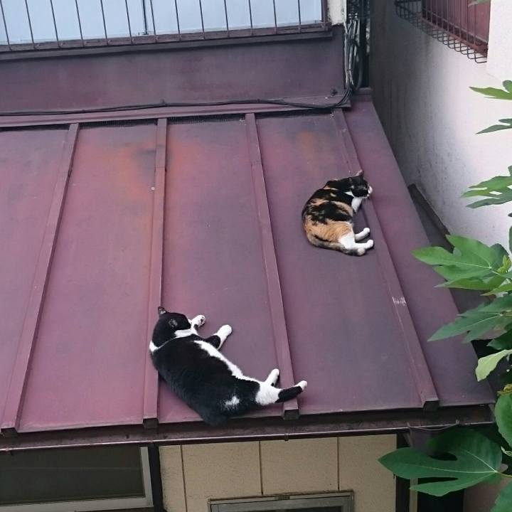 51e27085 1515 4eb0 8aca 296fc0d3f0be