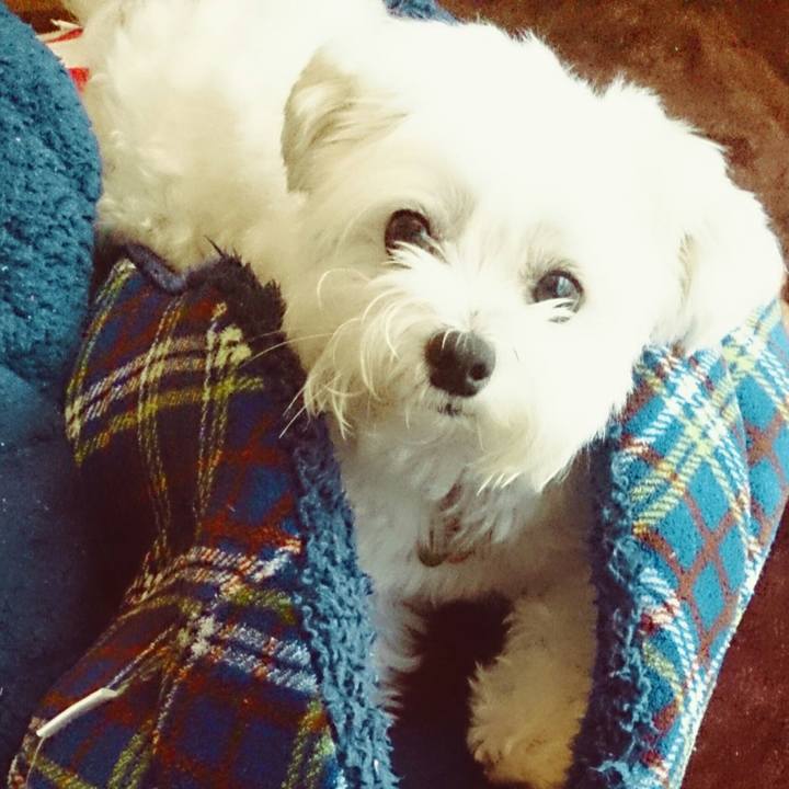 51e3576f c944 4295 b5aa 905318b4f488