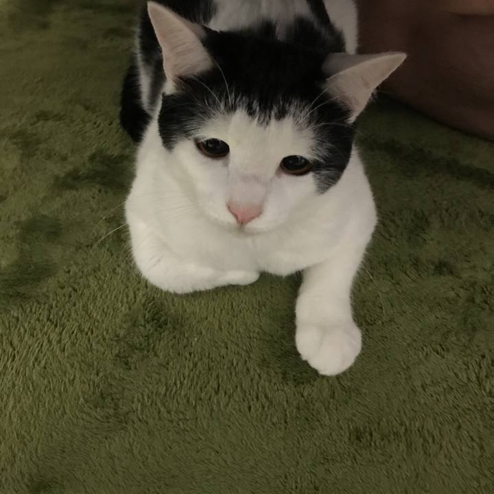 51e37cc1 7eda 42d5 b88a 14146a760035