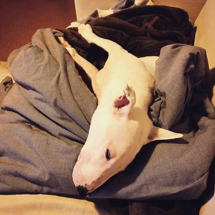 51e3a5f5 9bb1 43b1 93d5 85123ff2e43f