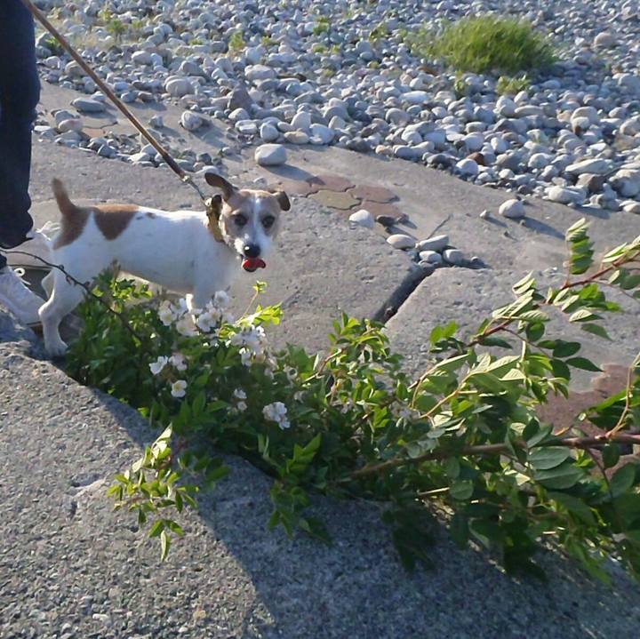 51e479ef e7cf 43b0 b6b1 3146fcd428e8