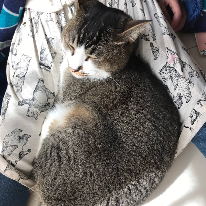 51e48a83 08af 4bf8 b7ec 054d494723dc