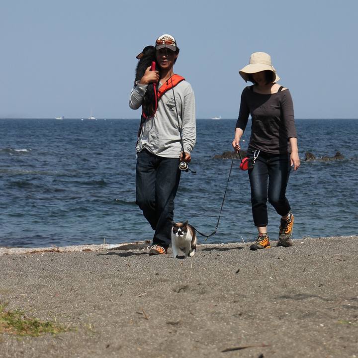 51e4e9c7 770a 45d3 b7d2 1cd3943dca22