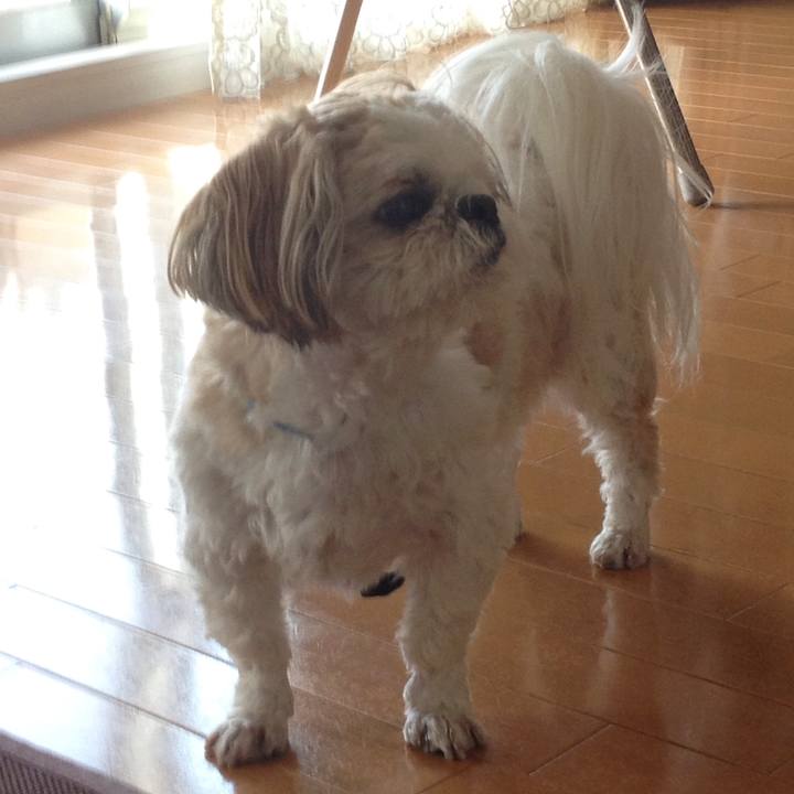 51e5e5de e7bf 4096 bce4 6d3cec7e5707