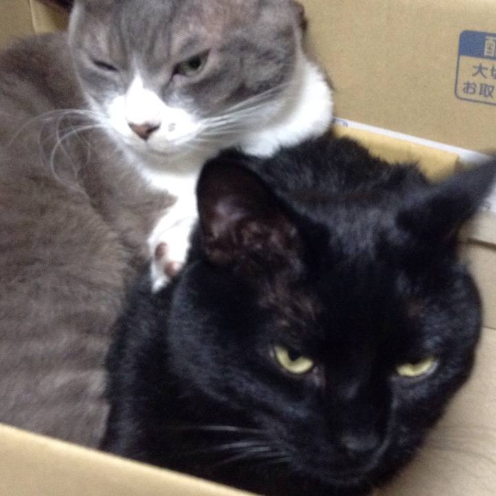 51e64320 9ac3 4cfc 94f5 14e1463d42be