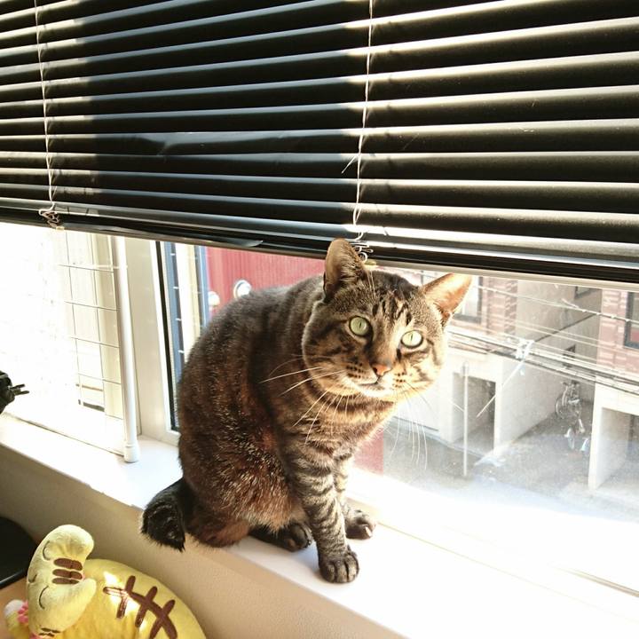 51e690de f94a 48b2 a6c6 581bc116b1de