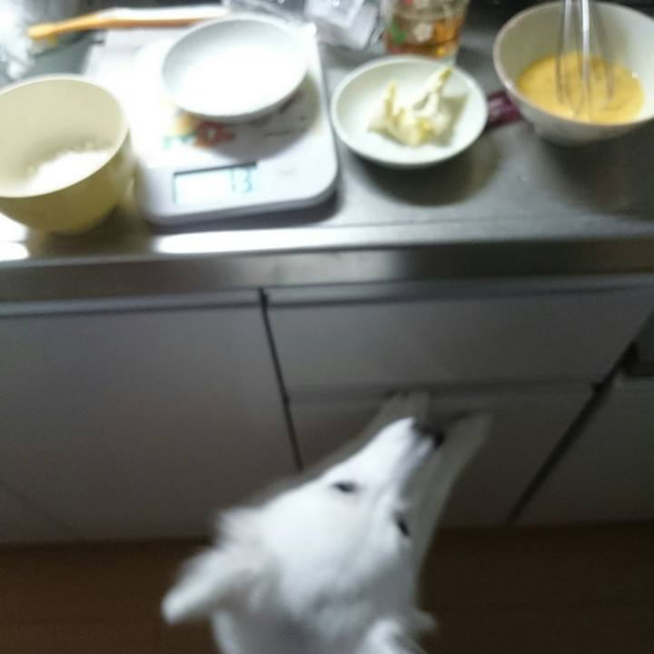 51e6b26d f8ce 440a a916 eddc9224c049