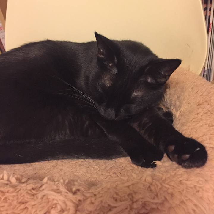 51e6cb26 c7c4 40b8 a711 08b988aa63f3