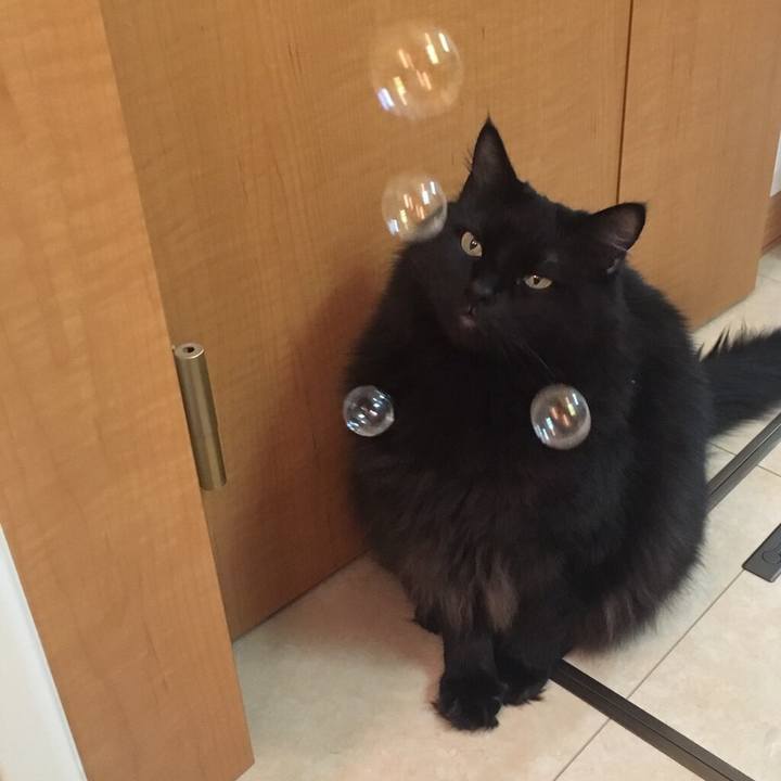 51e70915 f401 4822 b310 9843578e5a2a