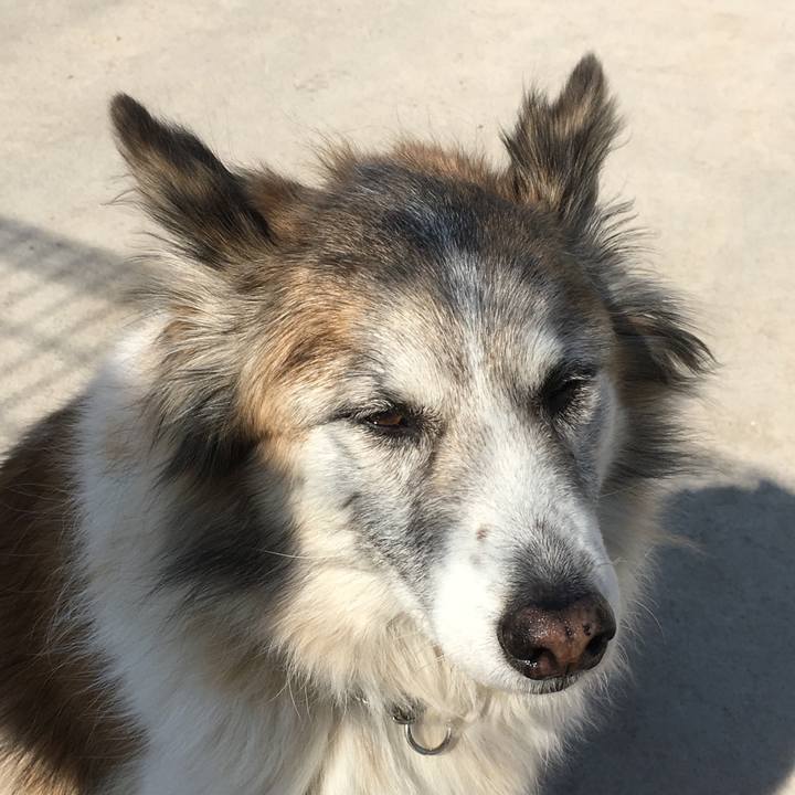 51e78b19 f0f9 4782 b88f 14aaaa3feee3