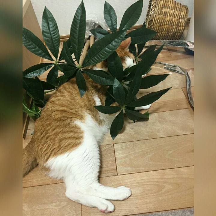 51e79e76 e8c1 4a17 adf7 3c8699bc055f