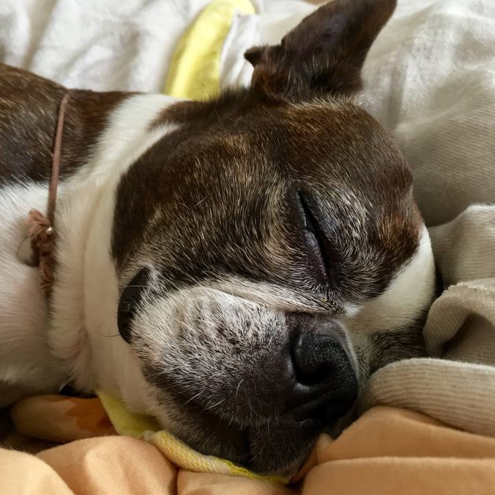 51e85bb3 0af8 4706 b7ff 8b01b823edd1