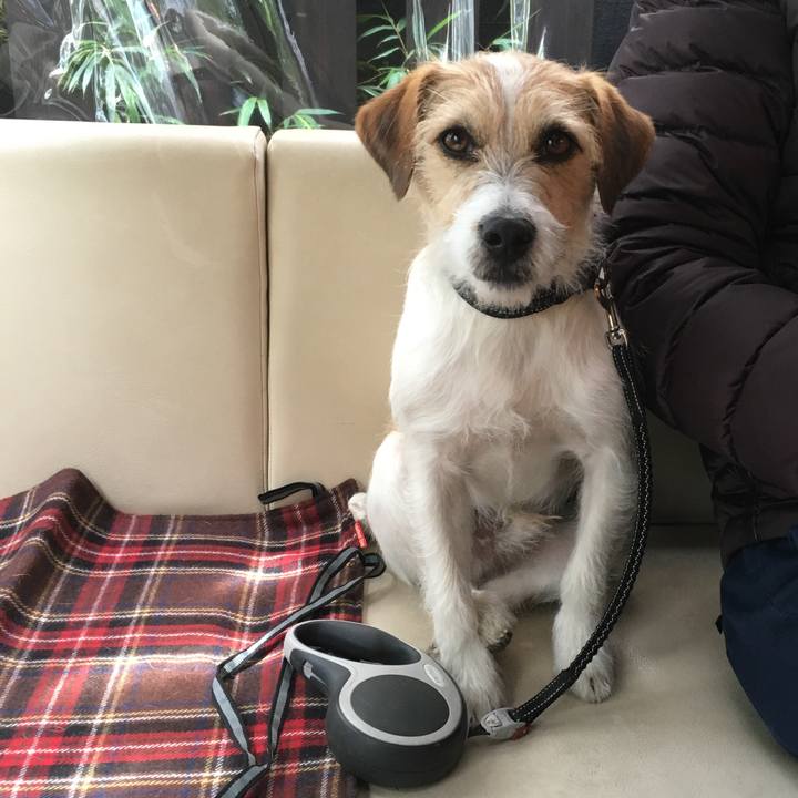 51e8a574 0b13 4ec9 b538 3528734918a2