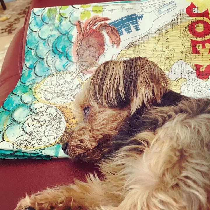 51e9424f 10c4 413f 93f2 b8250eb92fc1