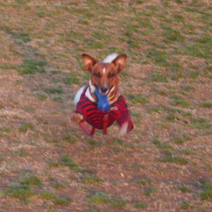 51e9626c 3bb9 4210 869f 10843474378c