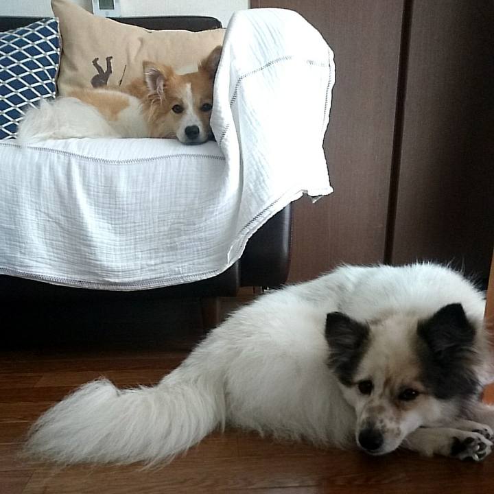 51eadc38 f662 48d2 9c81 8f3f1de31f83