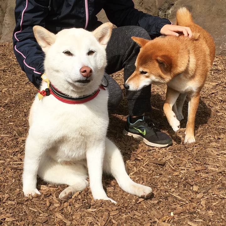 51eae0fa 4018 4381 a4ba c6ef20555c0f