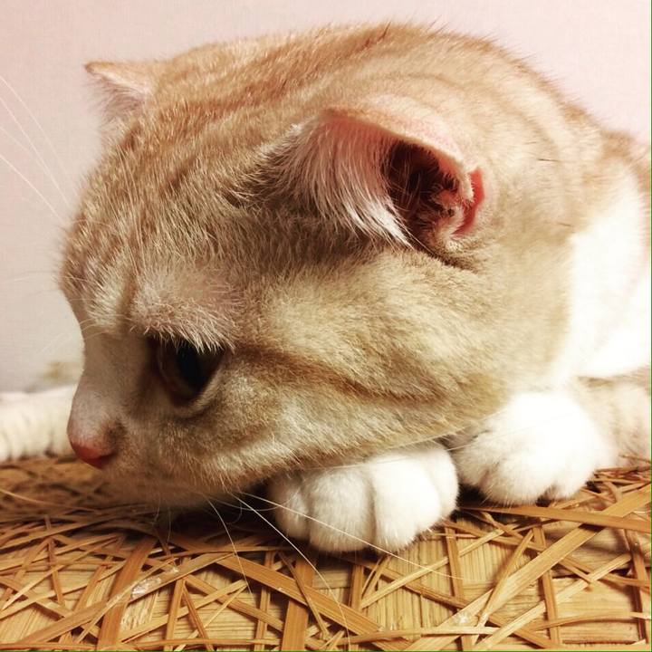 51eb3091 6283 4fb7 9c33 5797273d9304