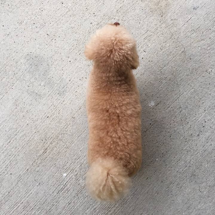 51eb75eb b16c 490b 929b fe295e66eea5