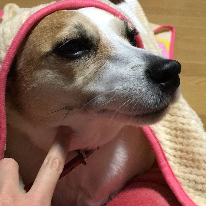 51eba1e4 943a 4500 9d79 0e01a839ef94