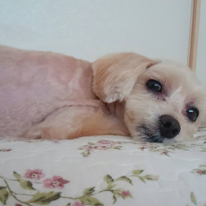 51ec5965 c533 4573 a39d becbff578adc