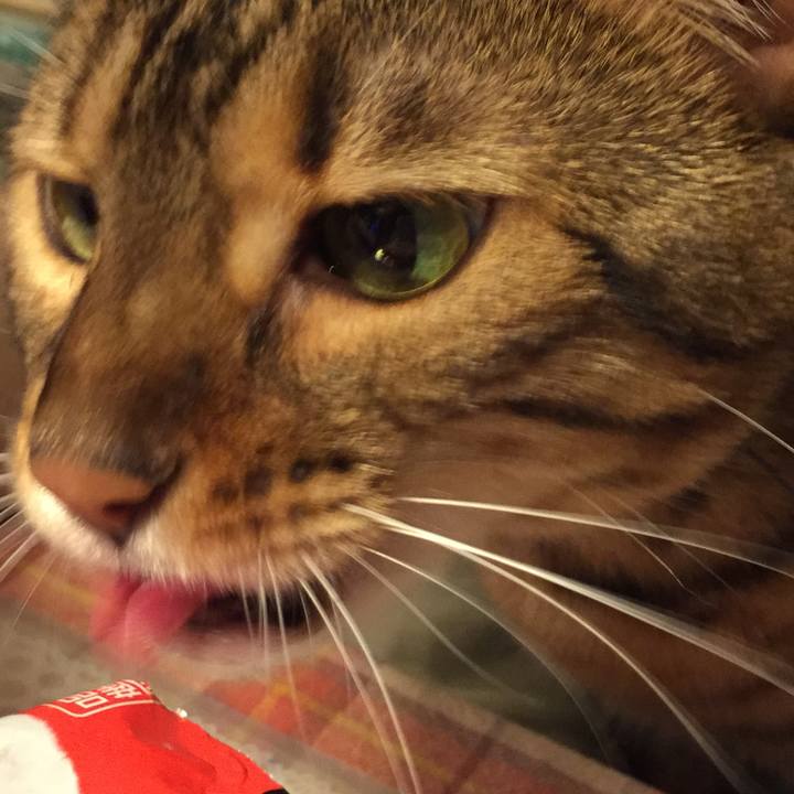 51ed383a caff 4a5d 9758 7ba784b30da7