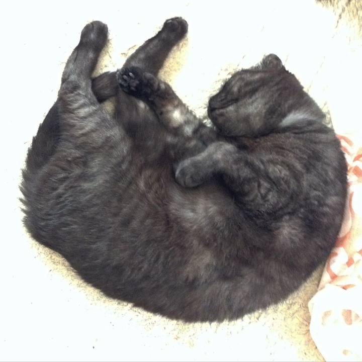 51ee7e5d be71 4dfa 8a6b ce928dc3eef2