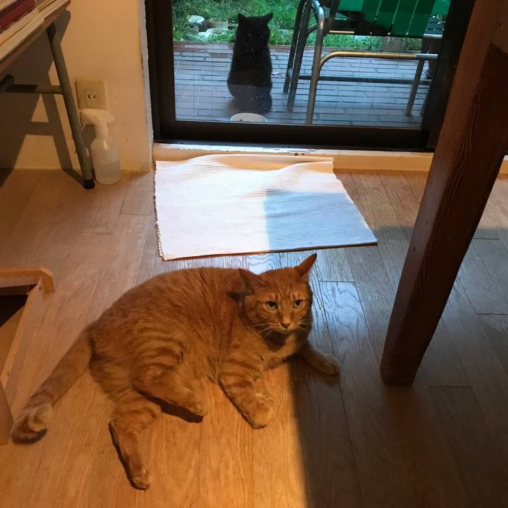 51ee959c e137 4441 a96c 2e83e64b4528