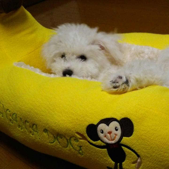 51eeb30b d2ab 4633 baf4 a160434fc290